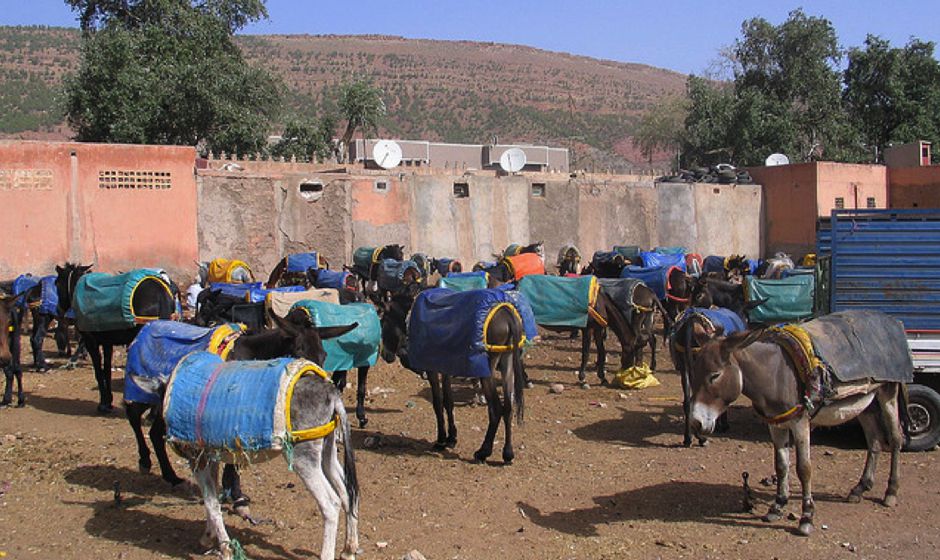 Asni - Atlas mountains