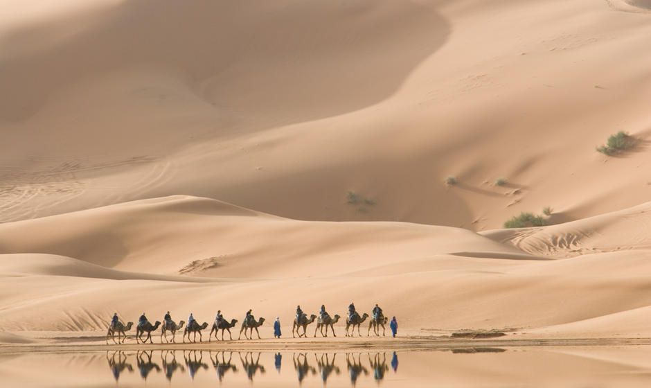 Camel trek and Picnic in the Sahara