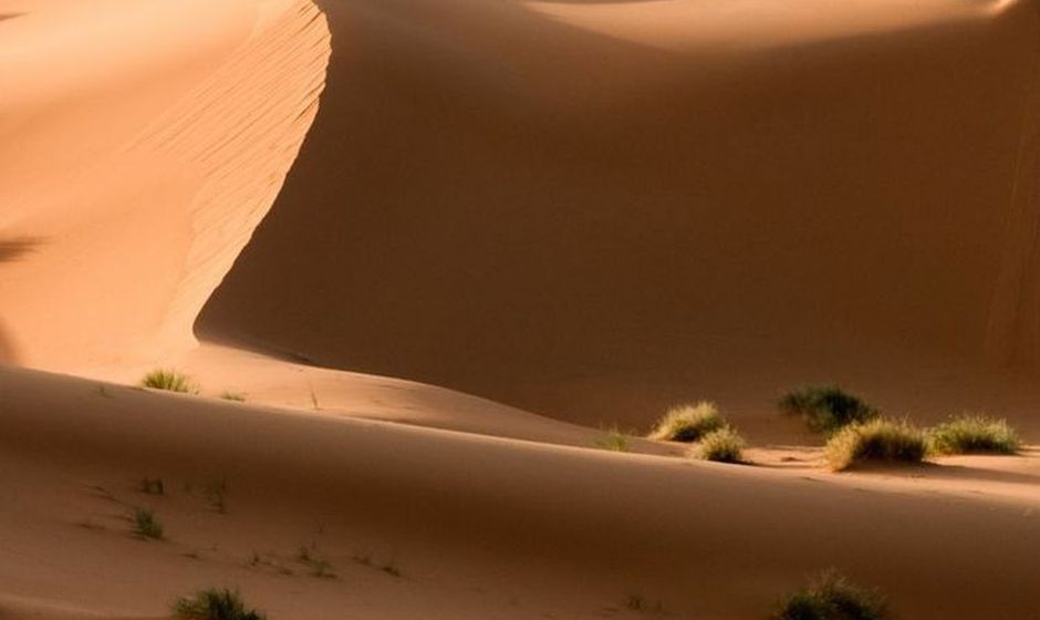 Dunes of the Sahara