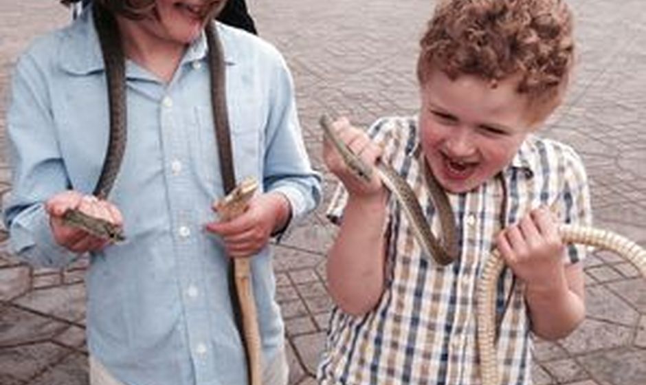 Sasha Slater's family draped with snakes in the Djemaa El Fna, Marrakech