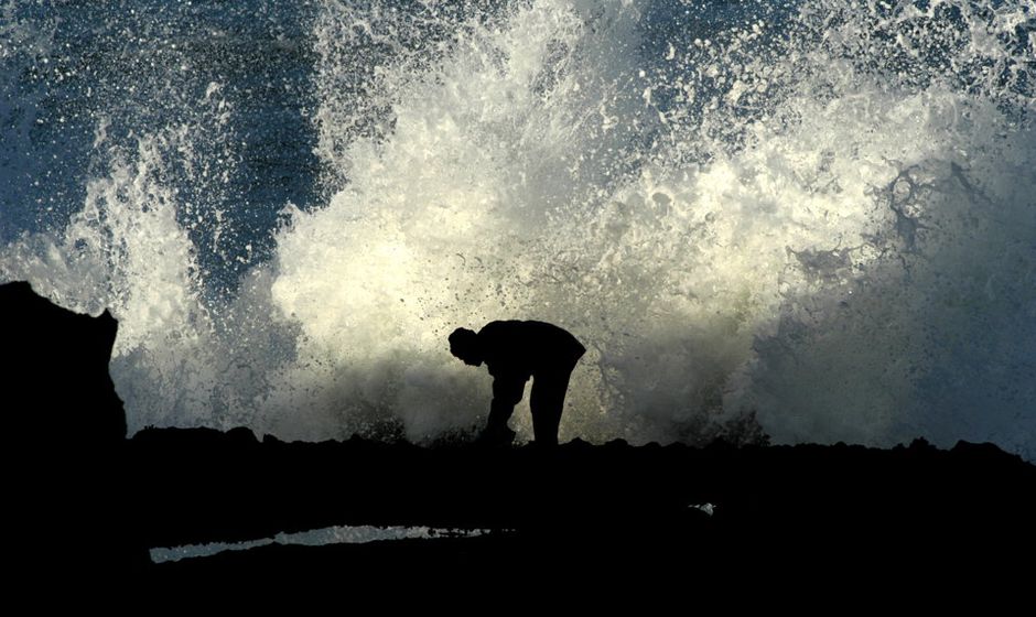 coast morocco essaouira oualidia agadir merleft taghazoute